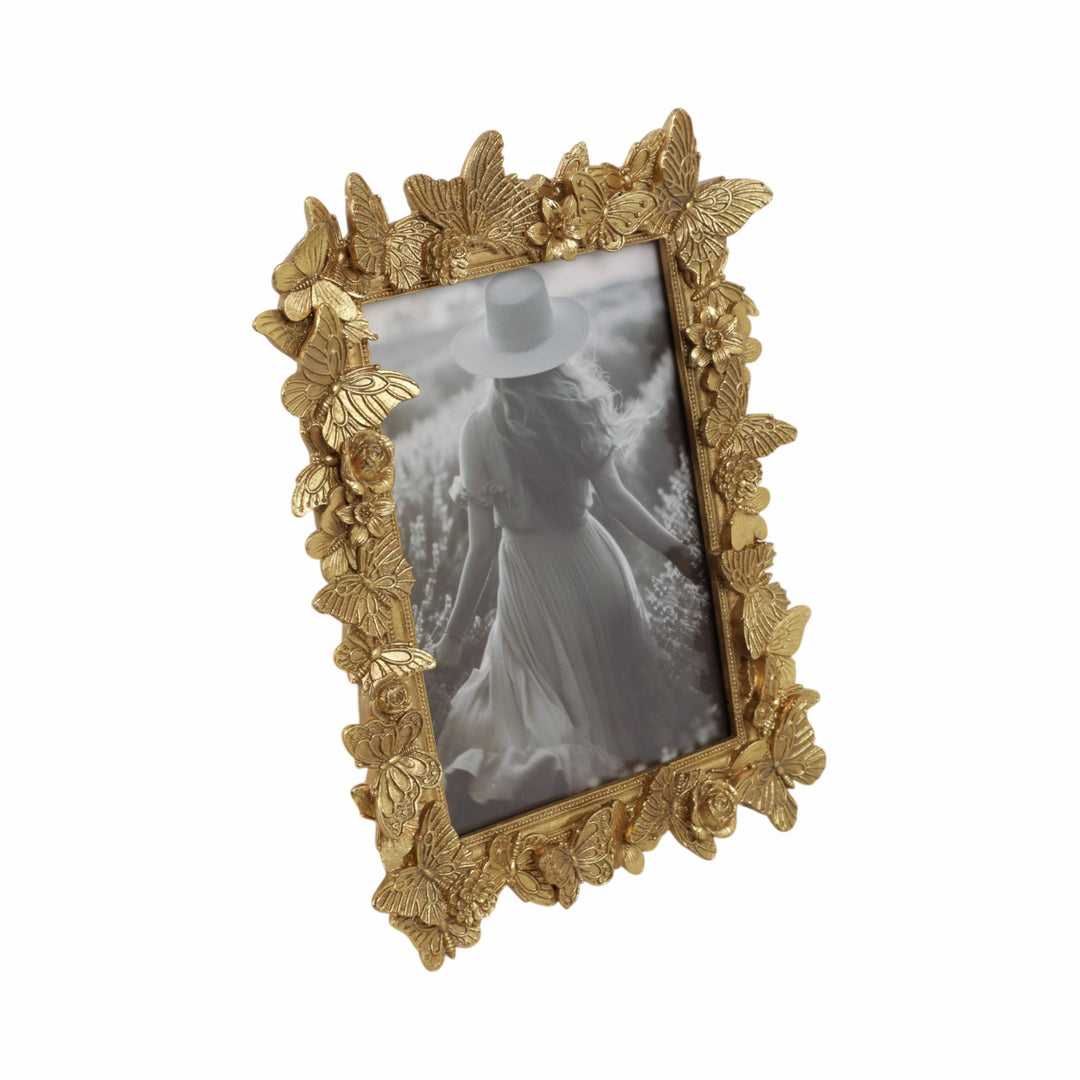 Butterfly Frame