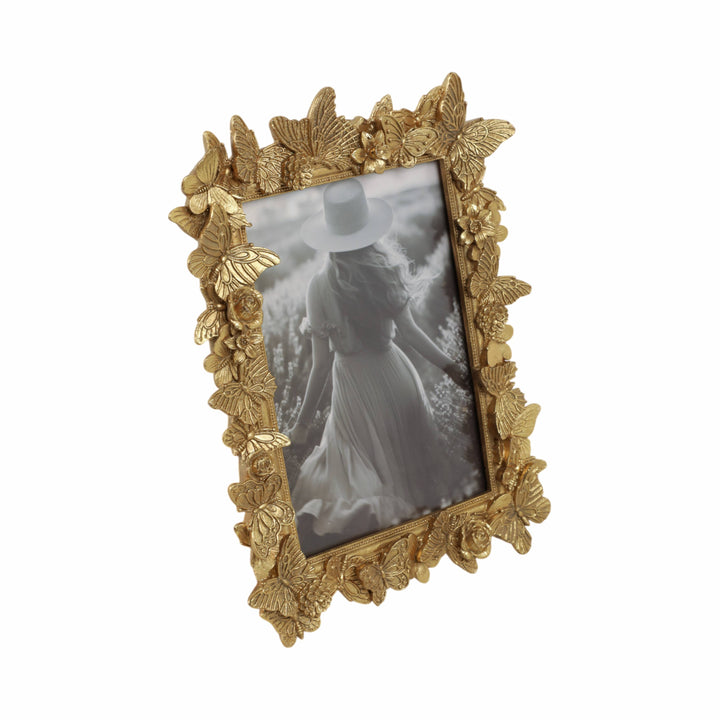 Butterfly Frame