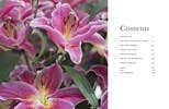 Lilies: Beautiful Varieties for Home & Garden
