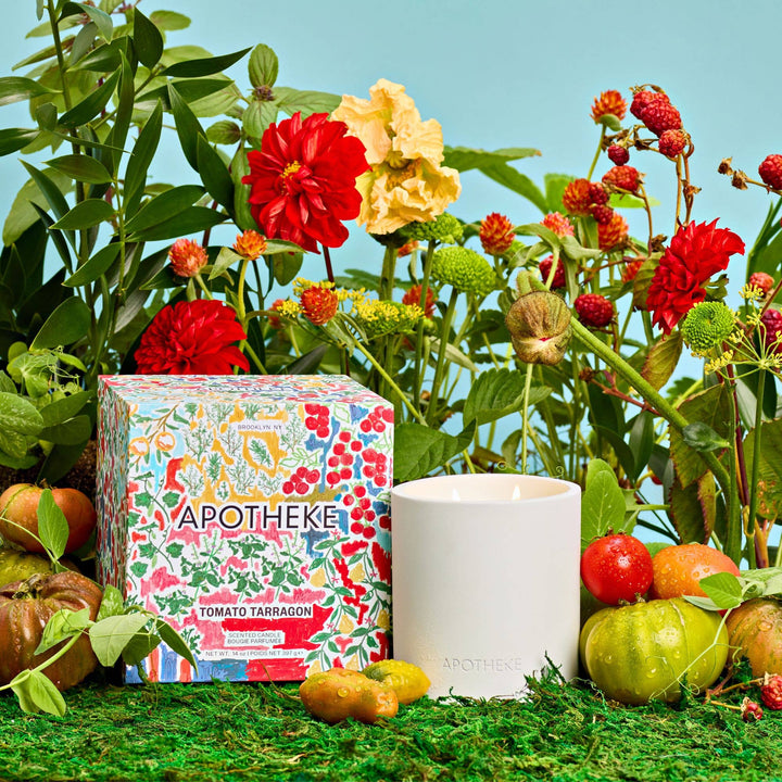 Tomato Tarragon 2-Wick Concrete Candle