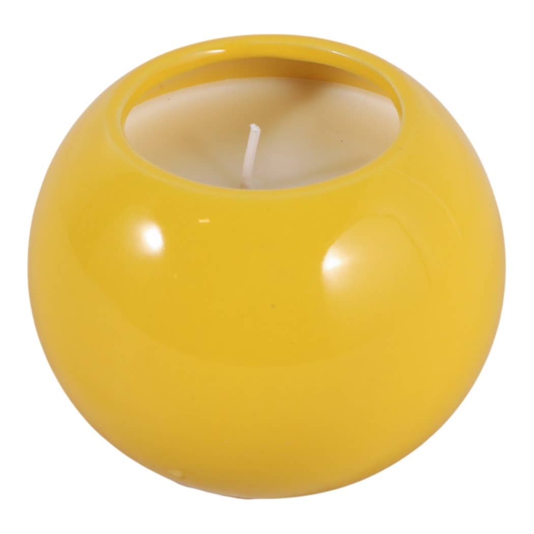 Coconut Goji Smile Candle