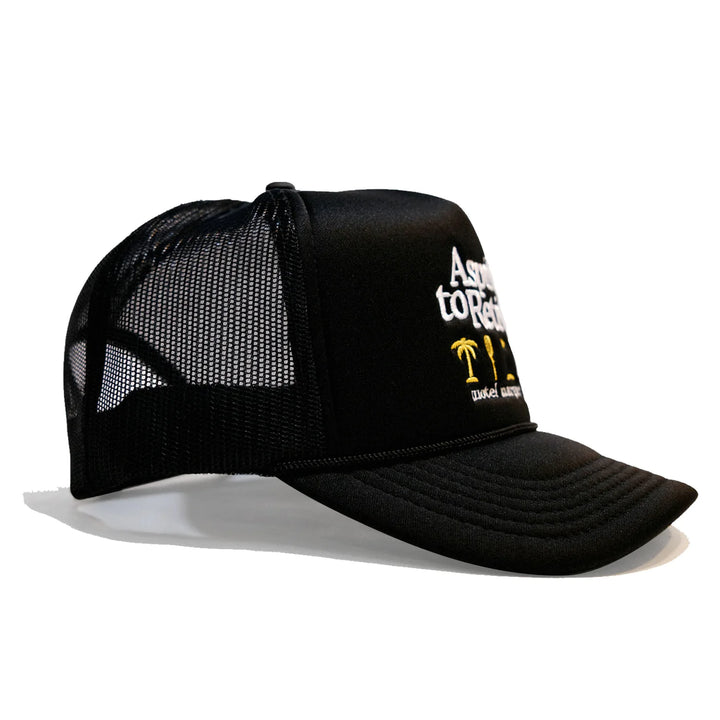 Black Aspire to Retire Trucker
