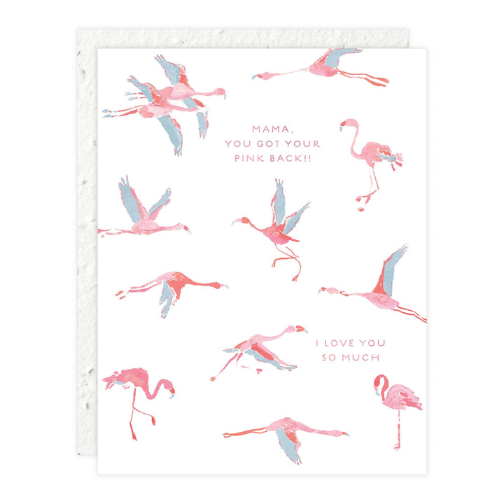 Flamingos Card