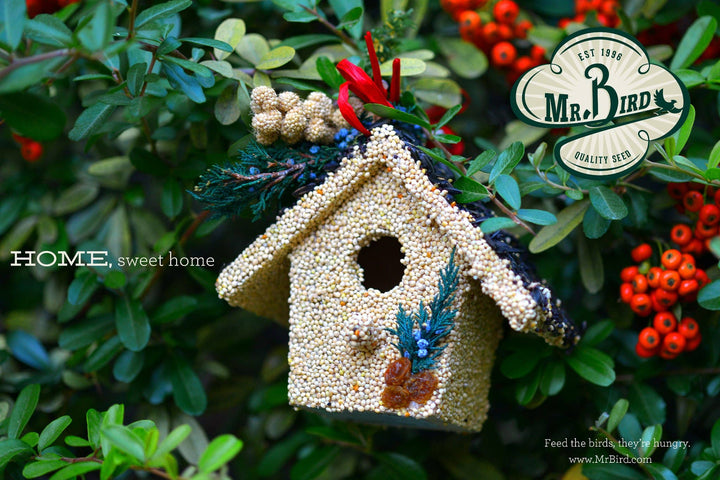 Holiday Birdie Cottage