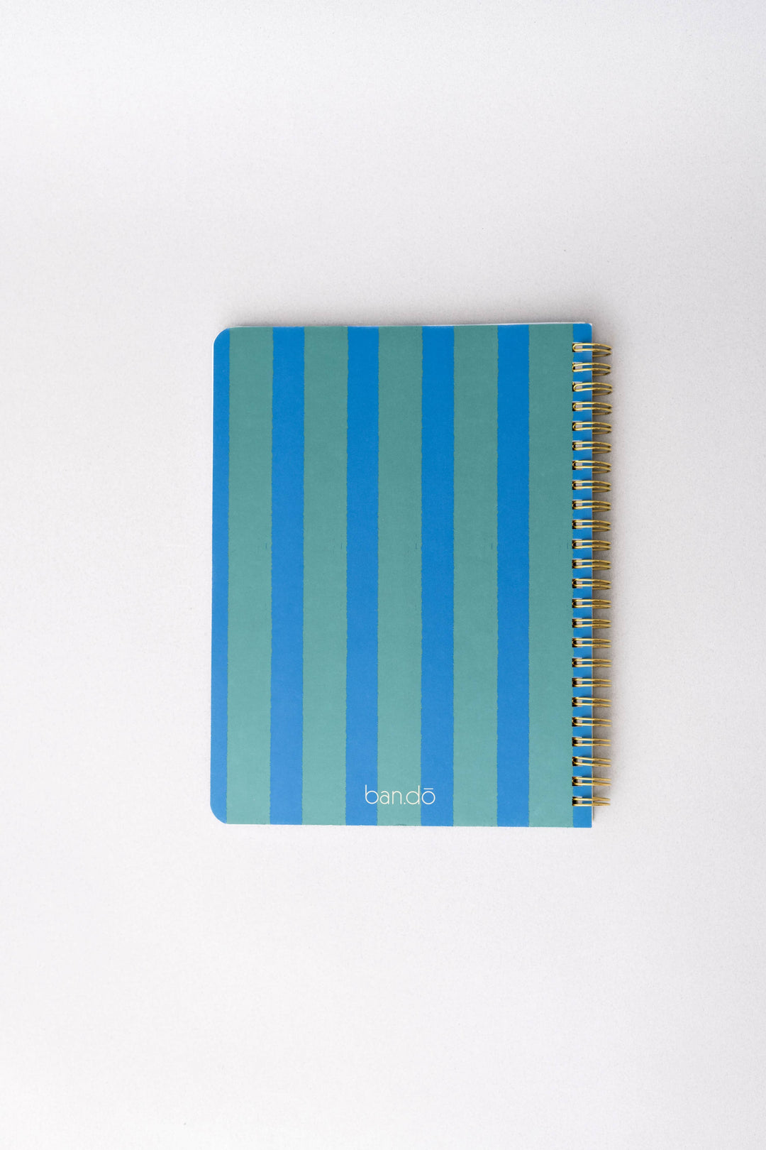 Rough Draft Mini Notebook