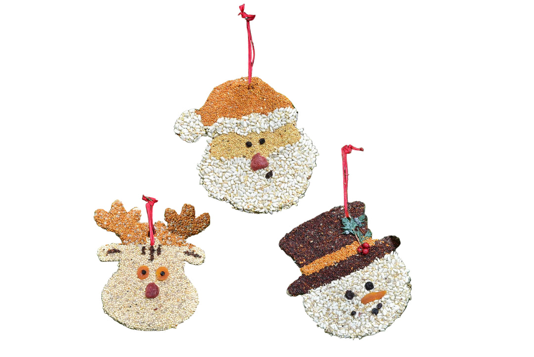 Christmas Cookie