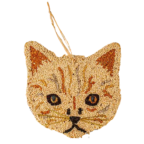 Cat Cookies
