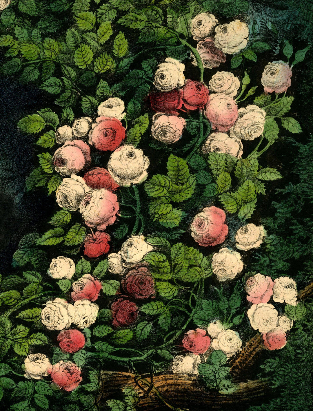 John Derian Paper Goods