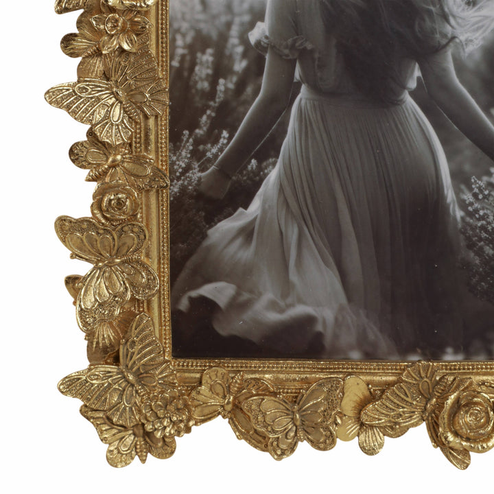 Butterfly Frame