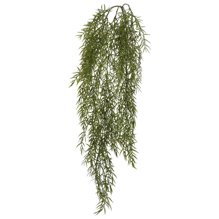 Green Dill Leaf Vine