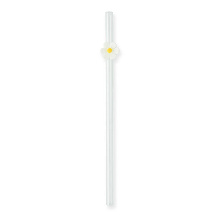 Floral Glass Straw Set