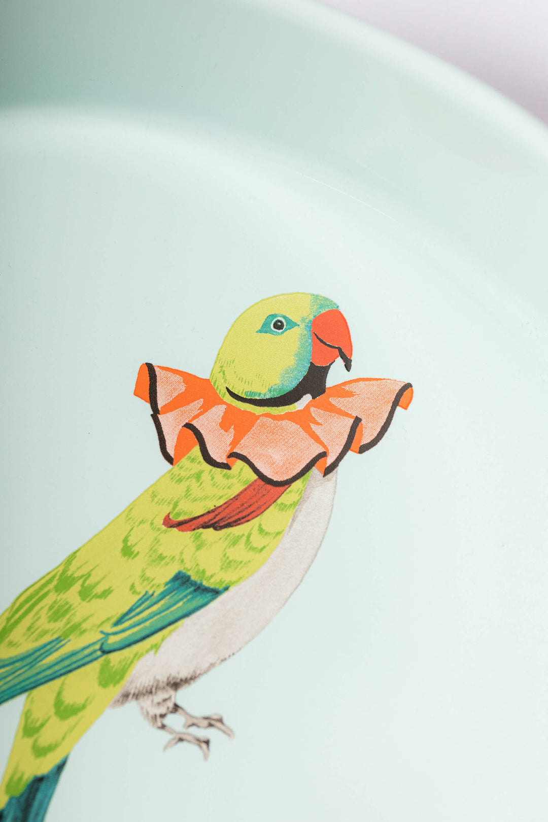 Parakeet Large Round Roaster