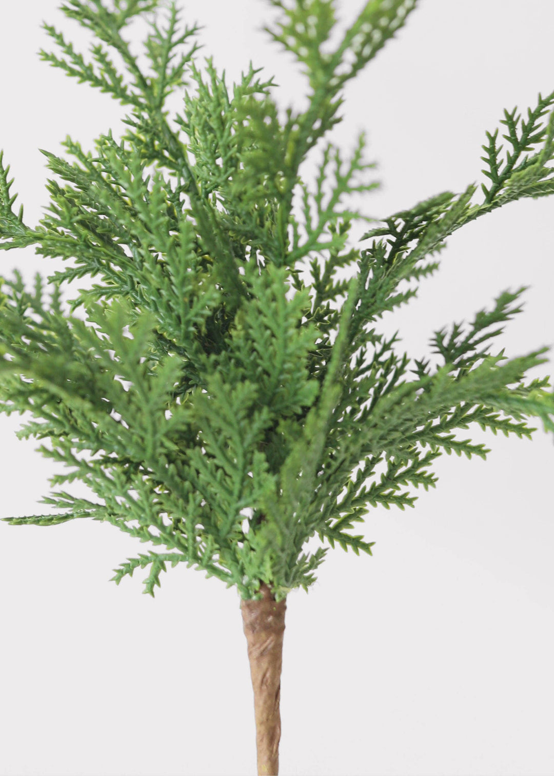 Natural Touch Cedar Pine