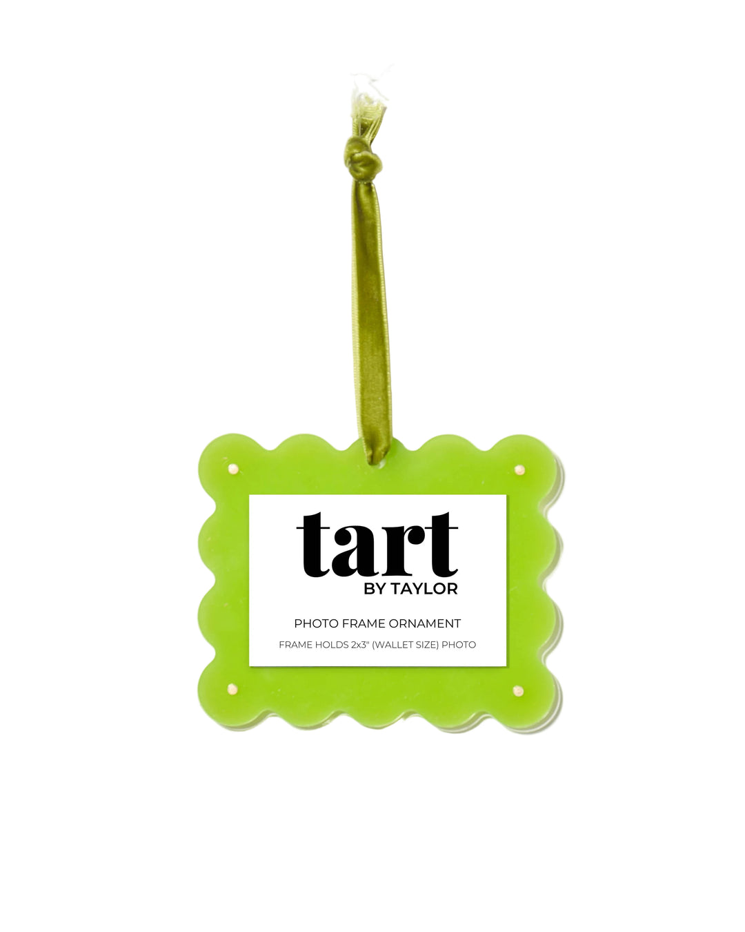 Kiwi Frame Ornament