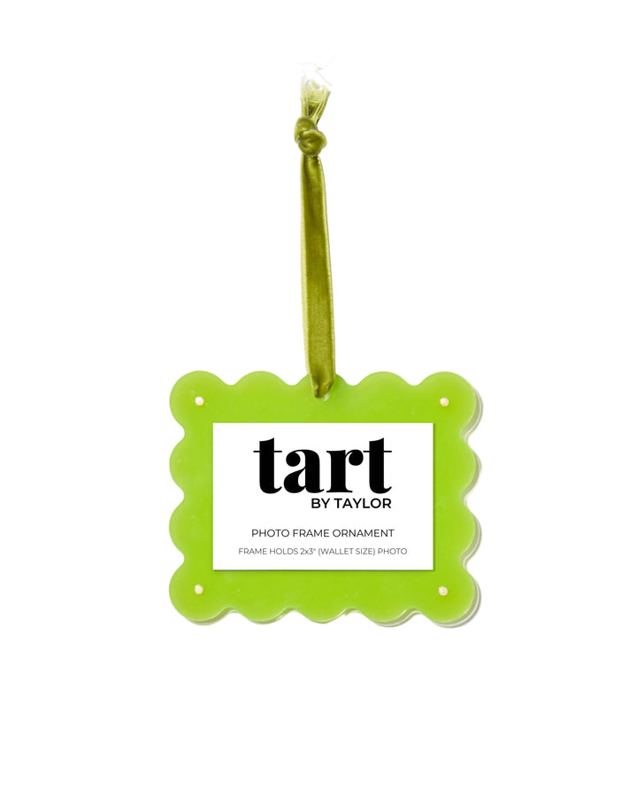 Kiwi Frame Ornament