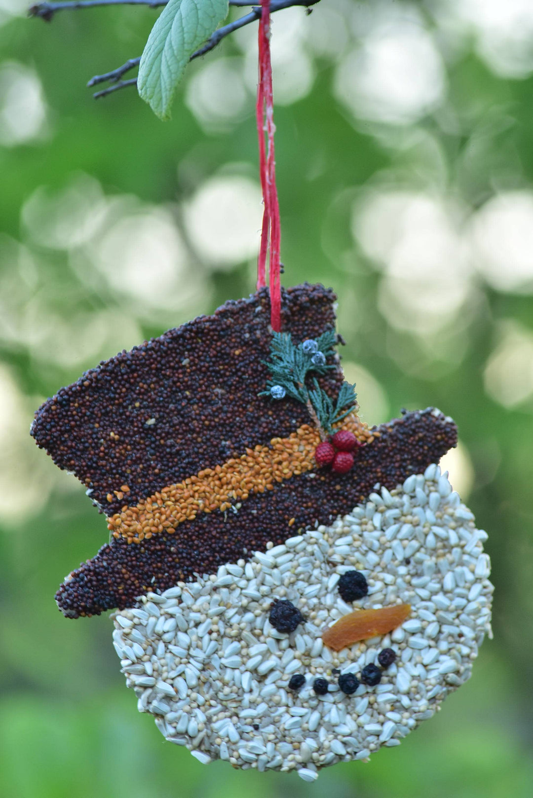 Christmas Cookie