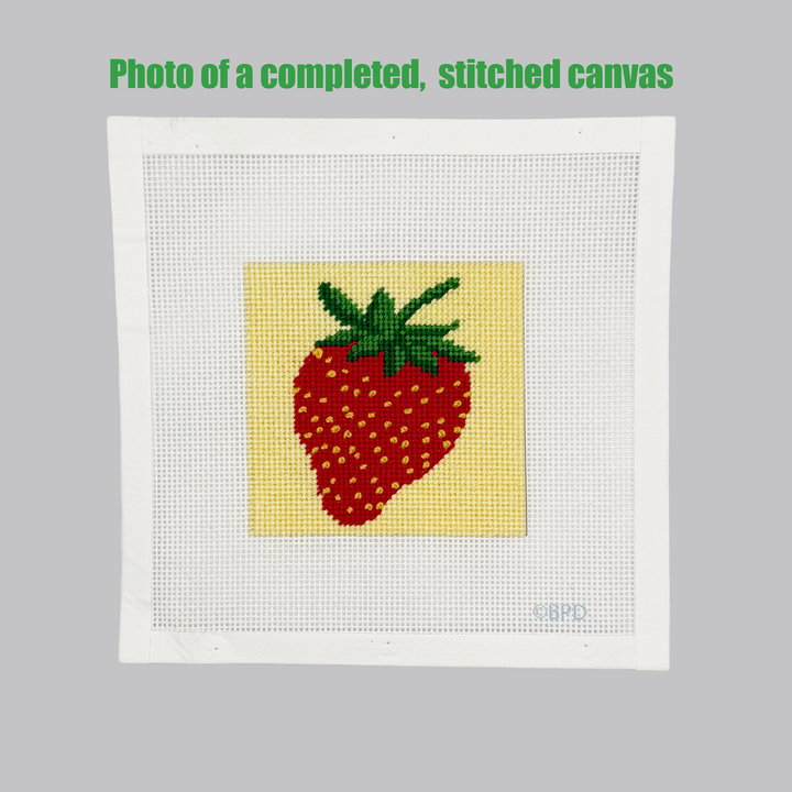 Strawberry Needlepoint Kit
