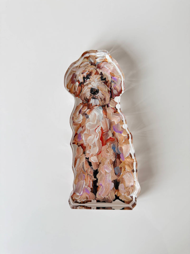 Acrylic Goldendoodle