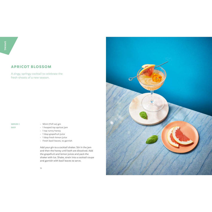 Gin O'clock Book