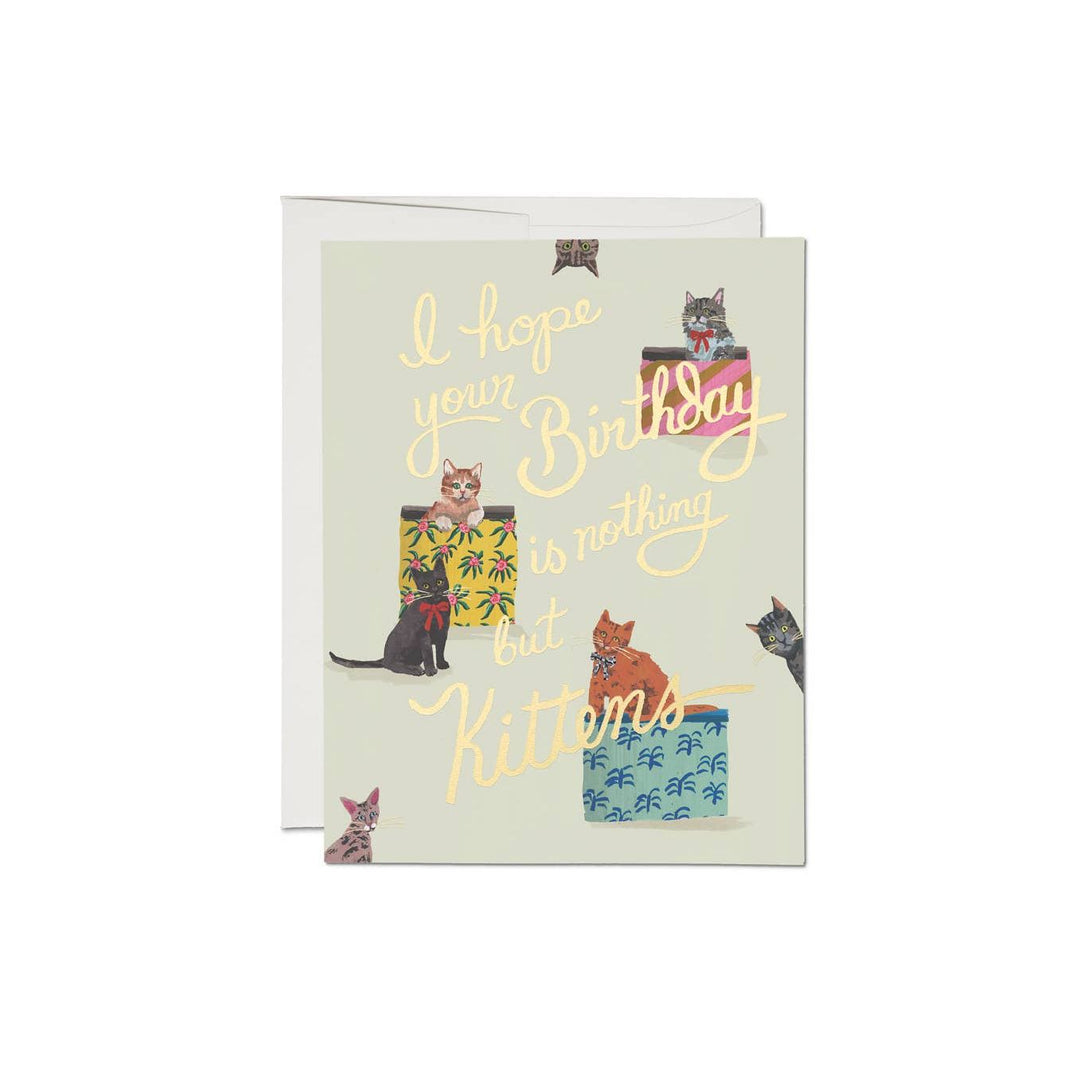 Birthday Kittens Card