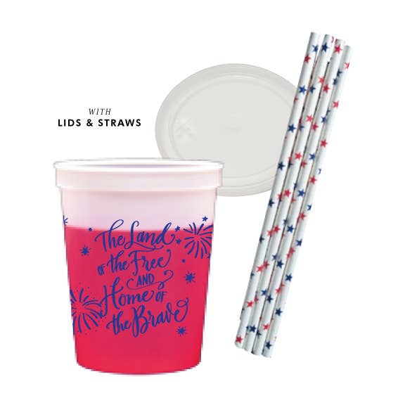 America USA Fourth of July Party Summer Plastic Cups Reusable 