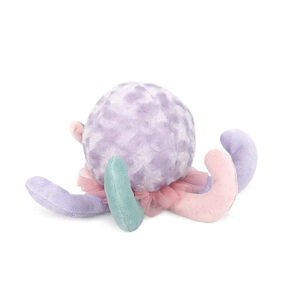 Jewel Jellyfish