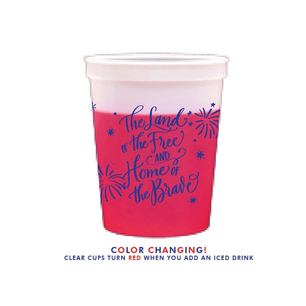 America USA Fourth of July Party Summer Plastic Cups Reusable