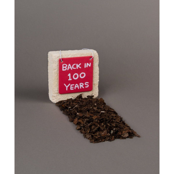 Back in 100 Years Air Freshener